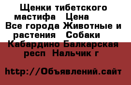 Щенки тибетского мастифа › Цена ­ 80 - Все города Животные и растения » Собаки   . Кабардино-Балкарская респ.,Нальчик г.